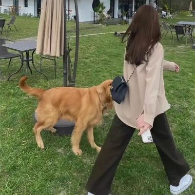 第三颗钉子